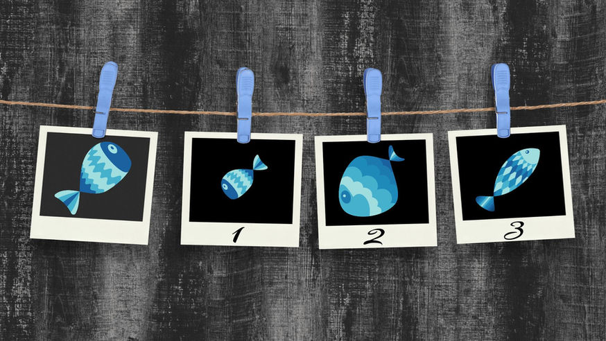 02-Constance-Poisson